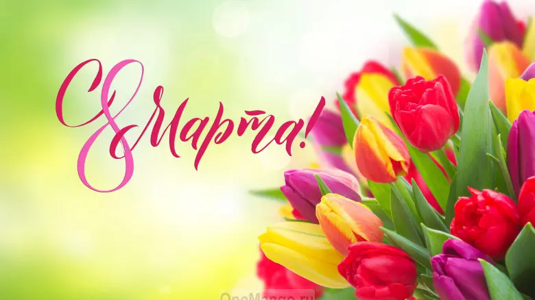 Занавес 8 марта 049