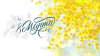 Занавес 8 марта 054