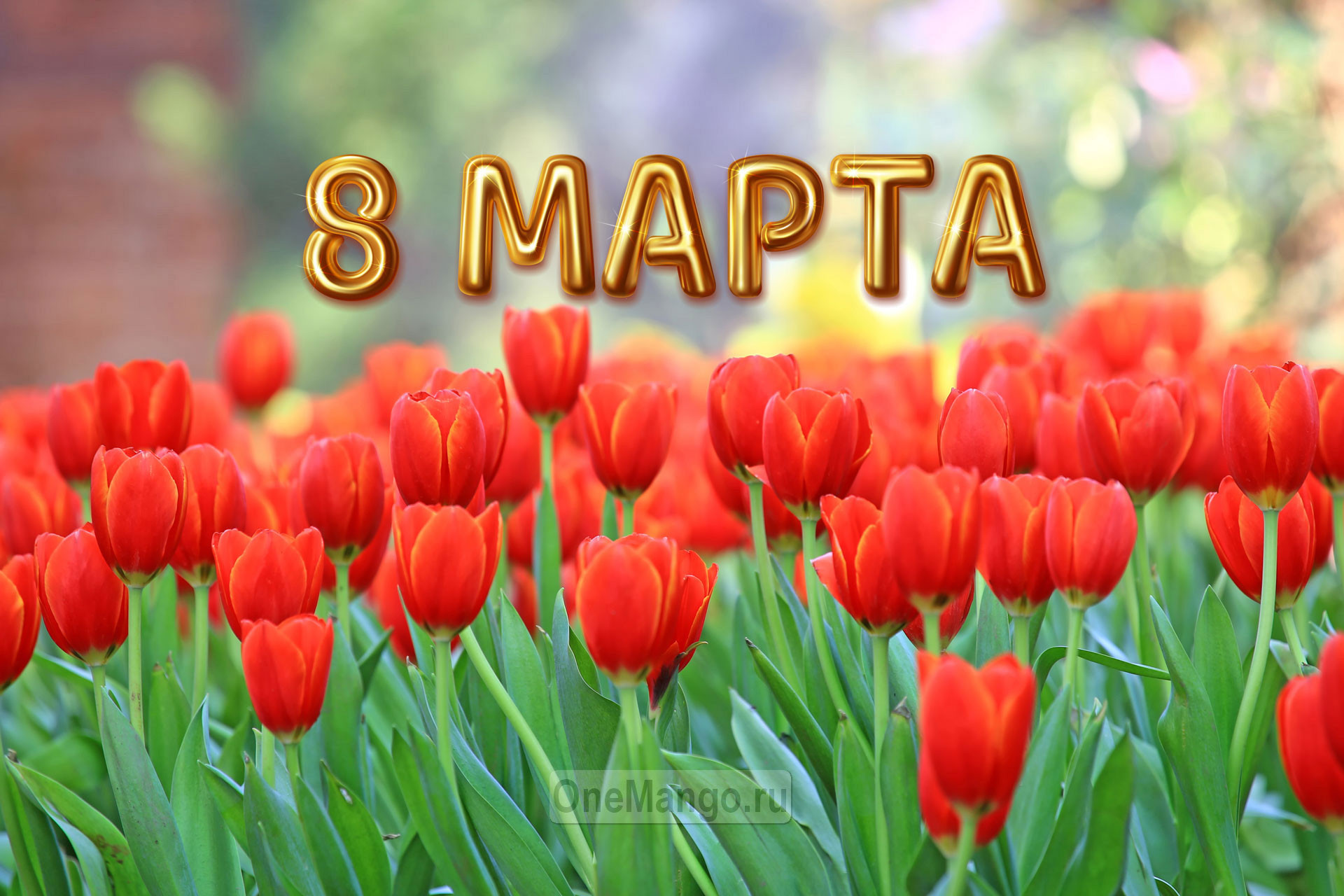 Занавес 8 марта 055