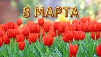 Занавес 8 марта 055