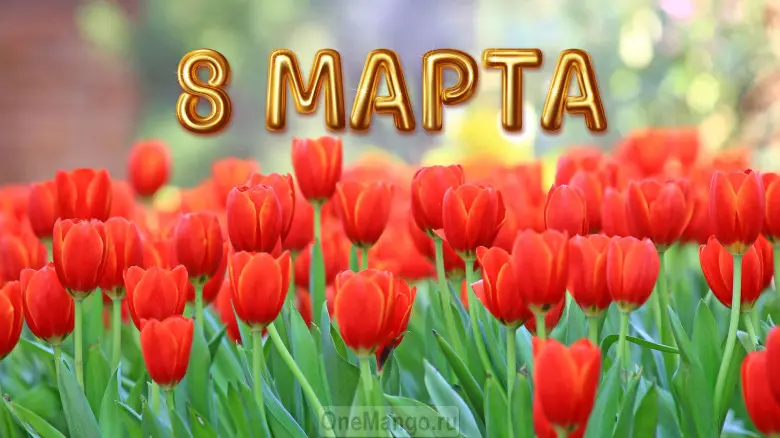 Занавес 8 марта 055