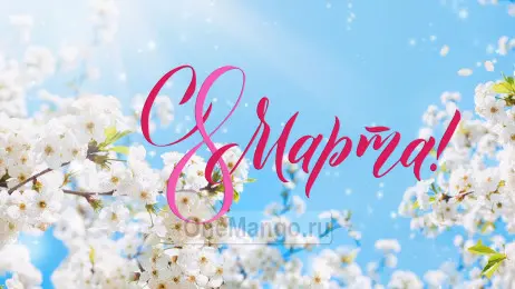 Занавес 8 марта 056