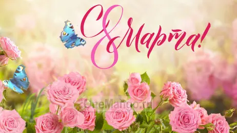 Занавес 8 марта 069