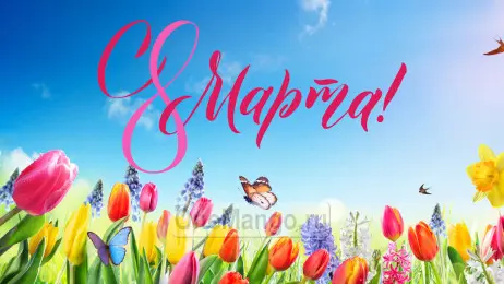 Занавес 8 марта 070