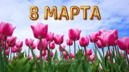 Занавес 8 марта 073
