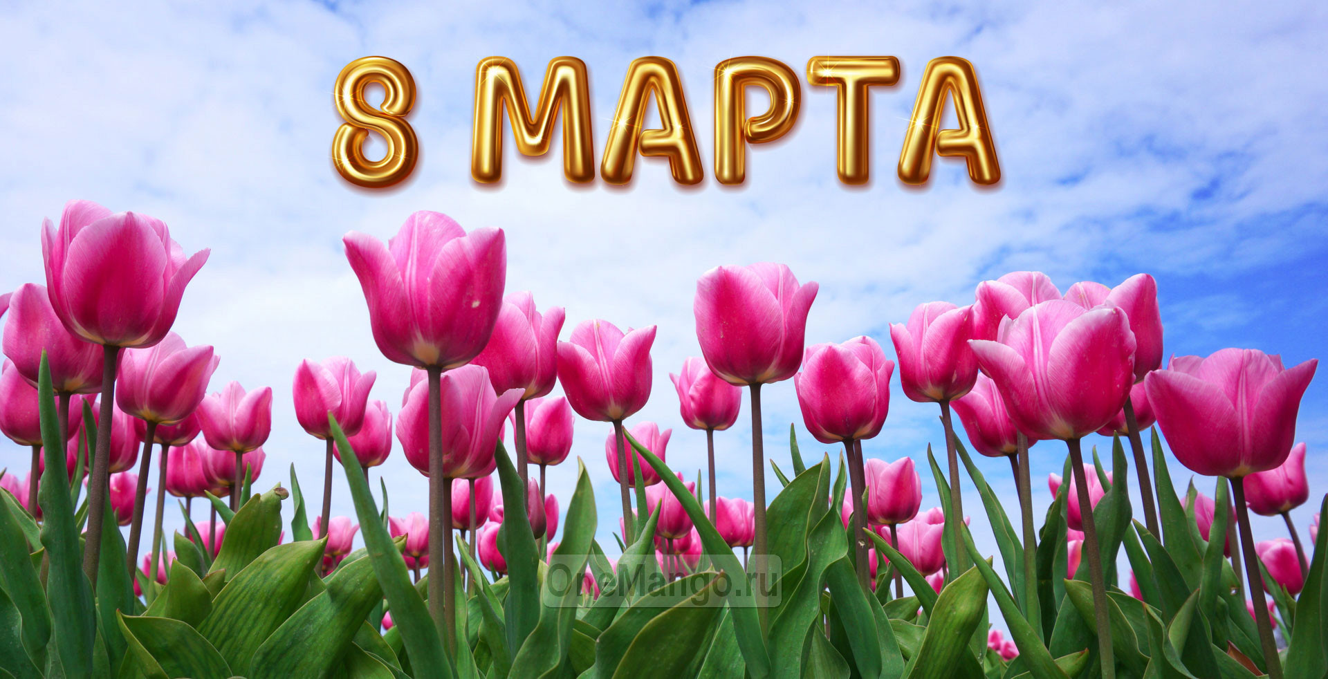 Занавес 8 марта 073