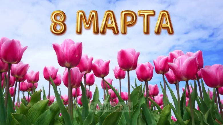 Занавес 8 марта 073