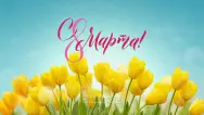 Занавес 8 марта 075