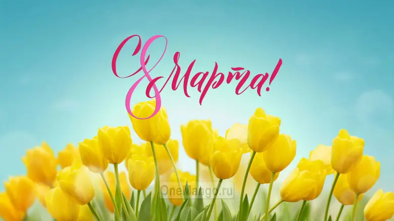 Занавес 8 марта 075