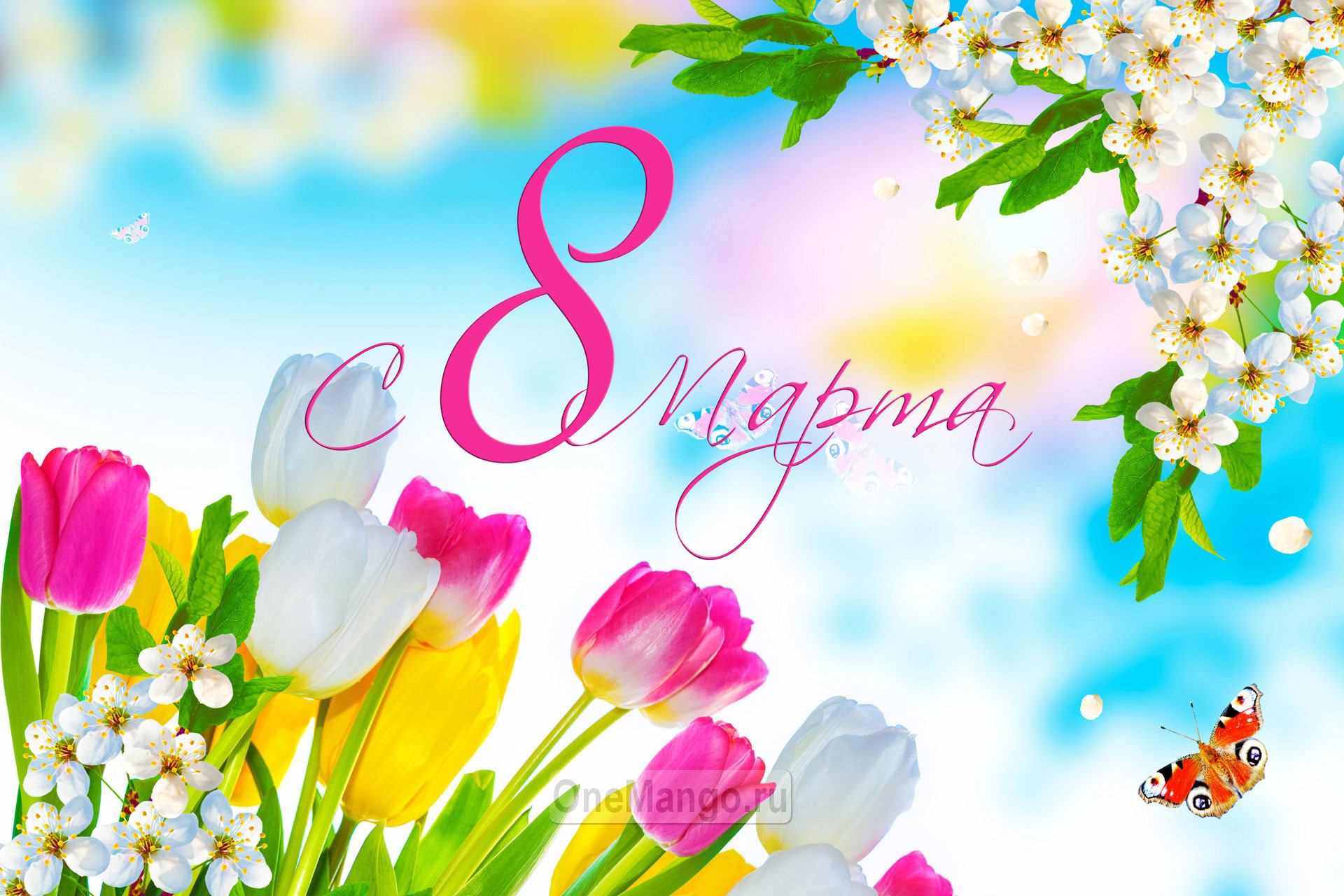 Занавес 8 марта 087