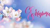 Занавес 8 марта 090