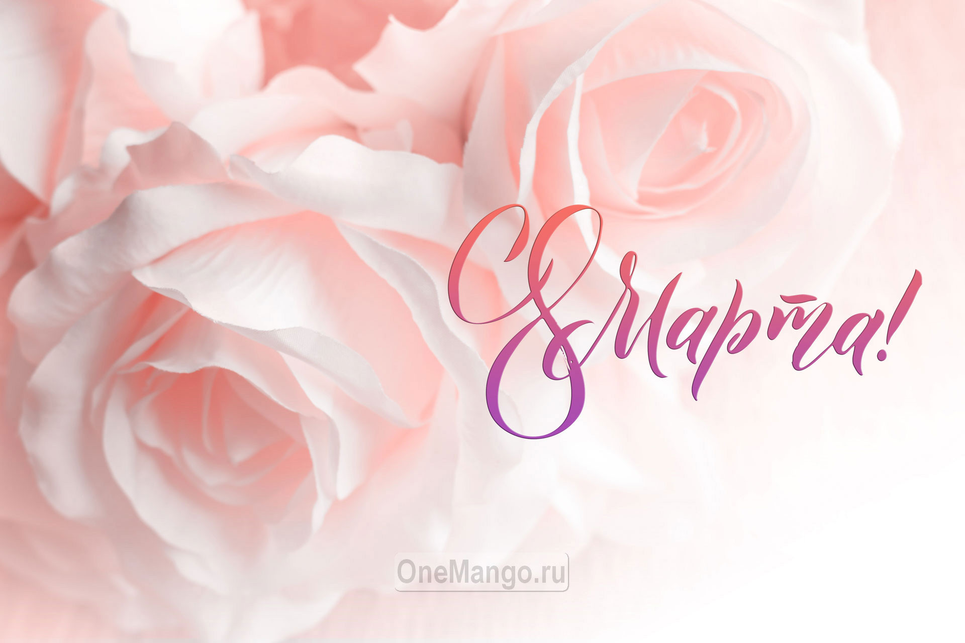 Занавес 8 марта 120