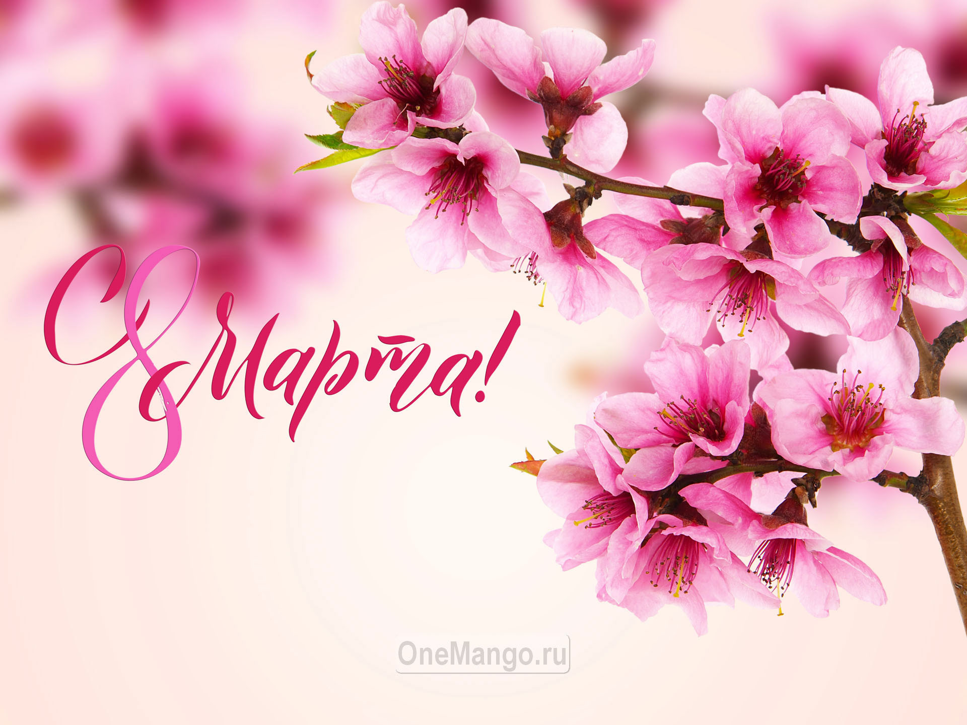 Занавес 8 марта 122