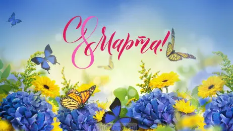 Занавес 8 марта 134