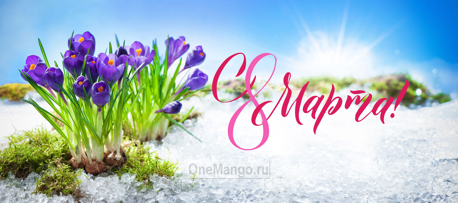 Занавес 8 марта 135