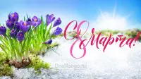 Занавес 8 марта 135