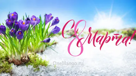 Занавес 8 марта 135
