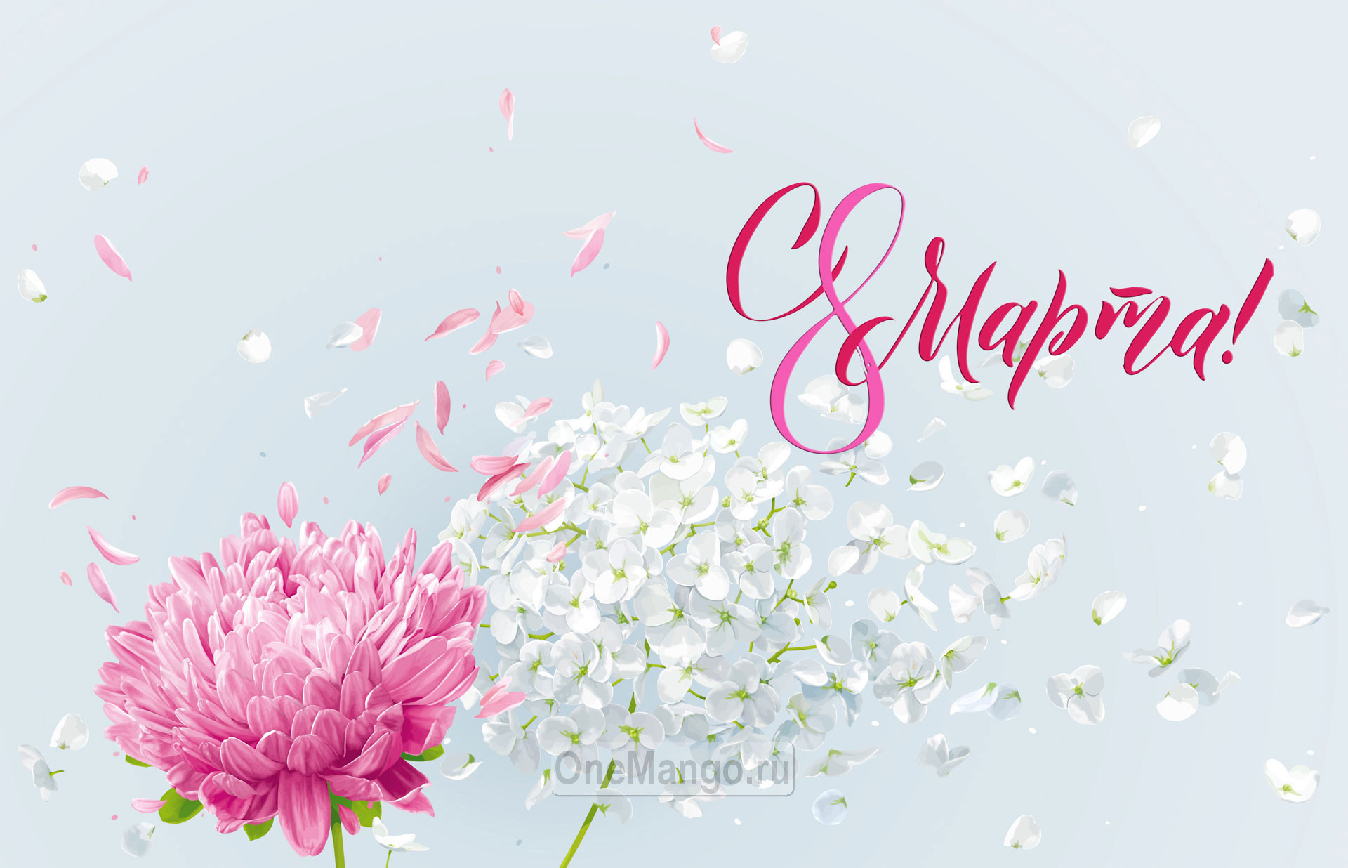 Занавес 8 марта 142