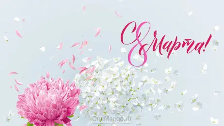 Занавес 8 марта 142