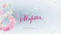 Занавес 8 марта 166