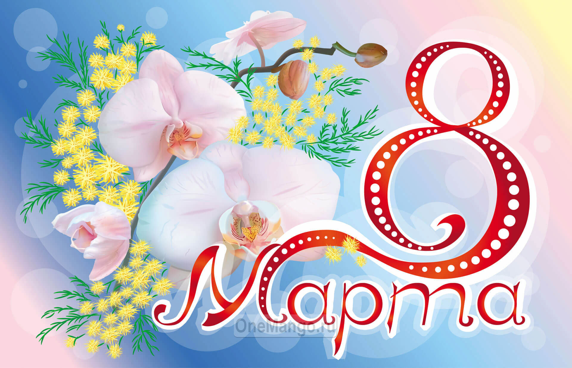 Занавес 8 марта 173