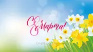 Занавес 8 марта 200  (готовый 4х3м)