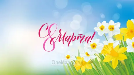 Занавес 8 марта 200  (готовый 4х3м)
