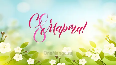 Занавес 8 марта 210