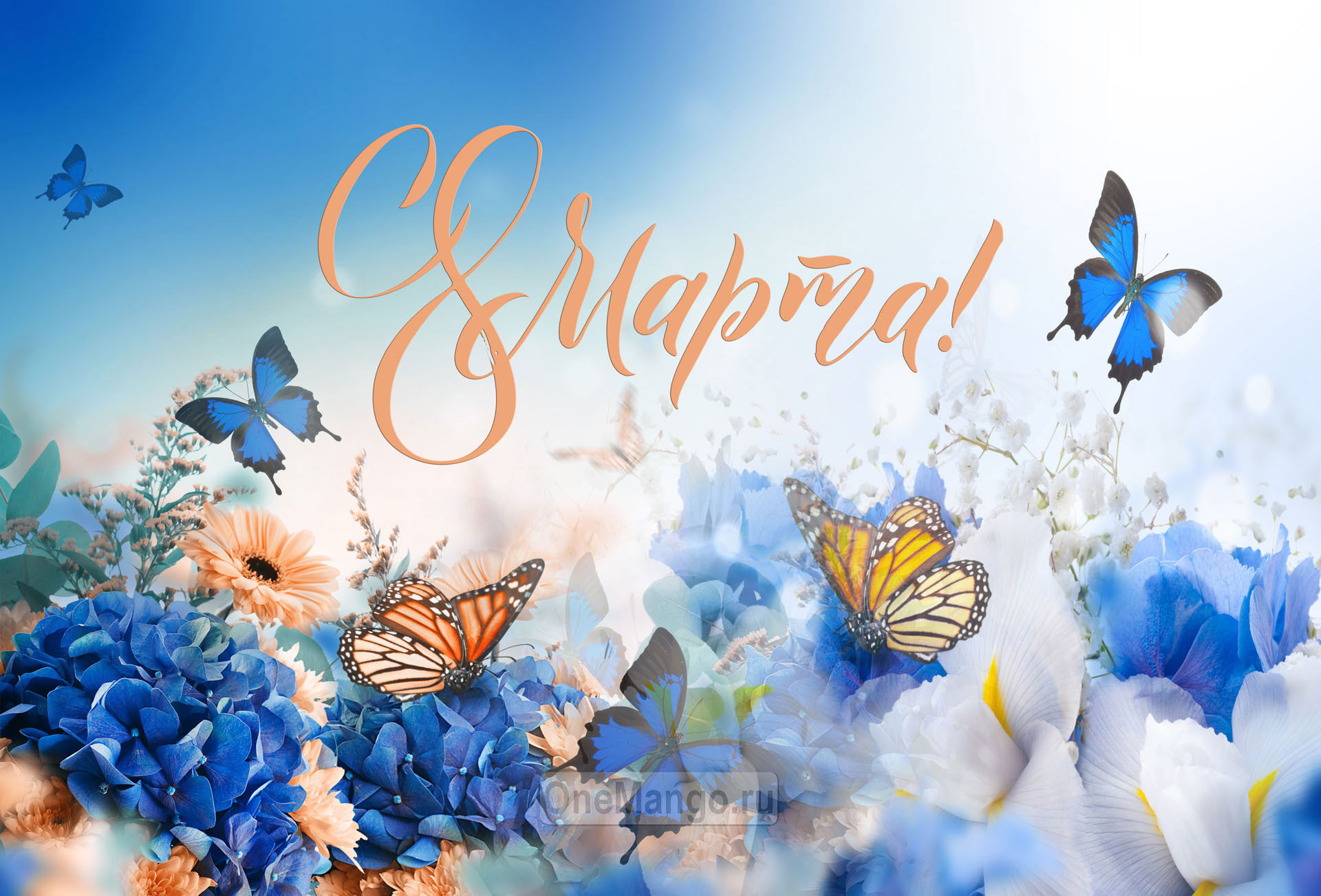 Занавес 8 марта 214