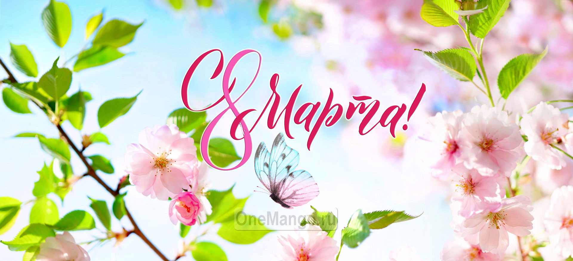 Занавес 8 марта 221