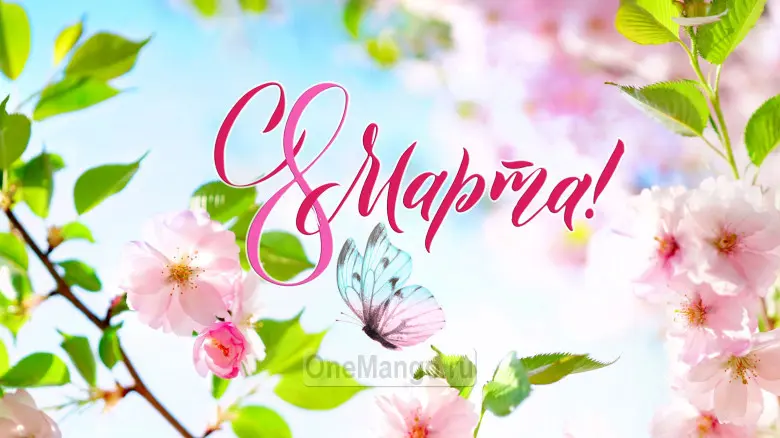 Занавес 8 марта 221
