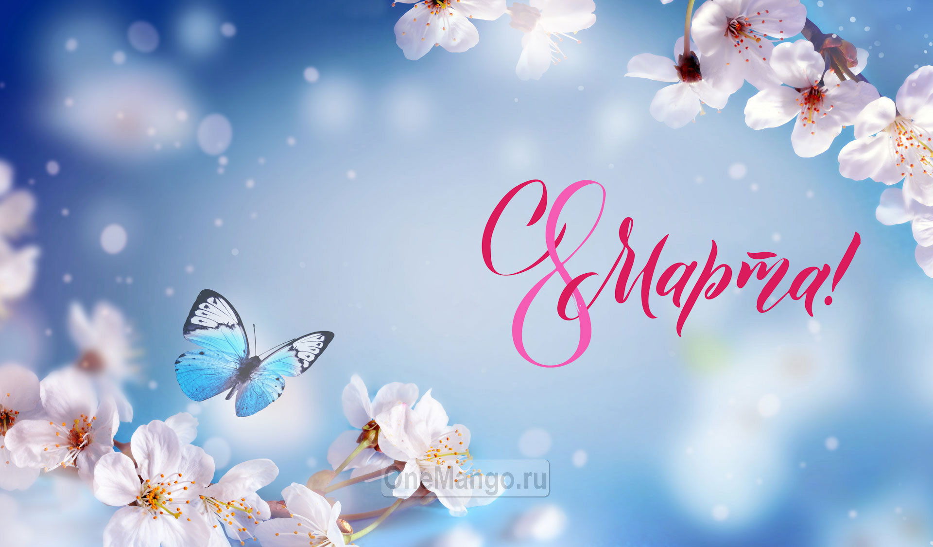 Занавес 8 марта 223