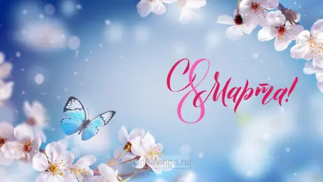 Занавес 8 марта 223