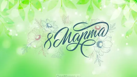Занавес 8 марта 225