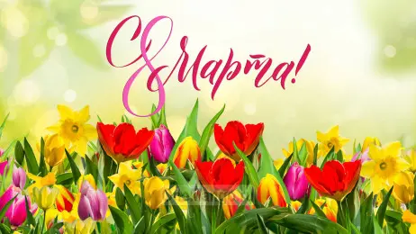 Занавес 8 марта 226