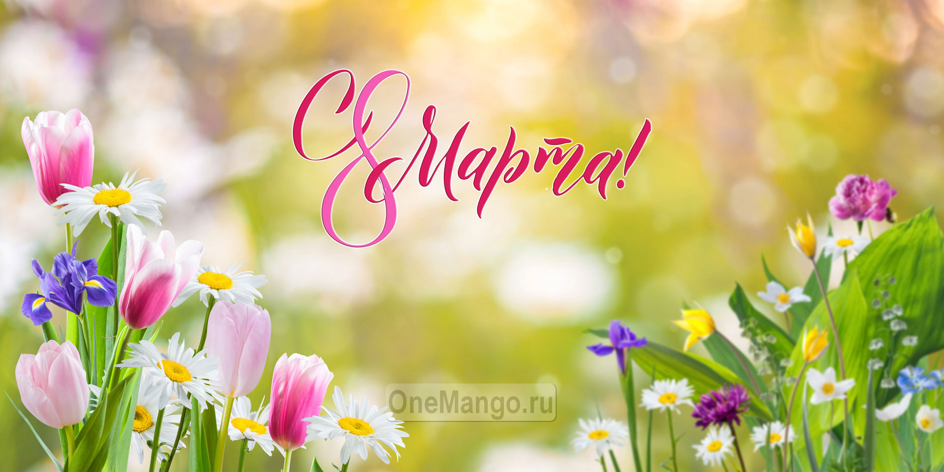 Занавес 8 марта 227
