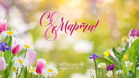 Занавес 8 марта 227