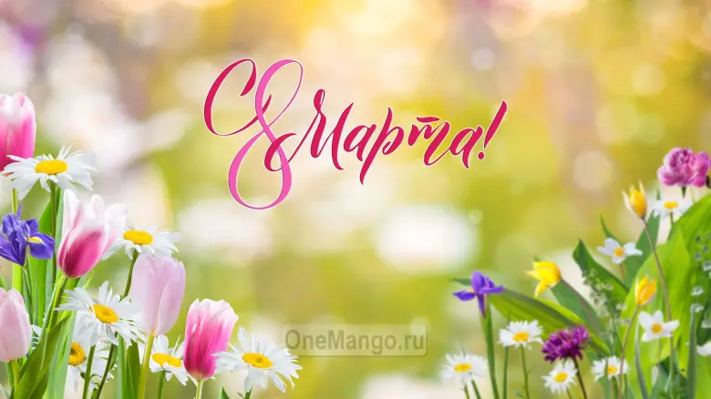Занавес 8 марта 227