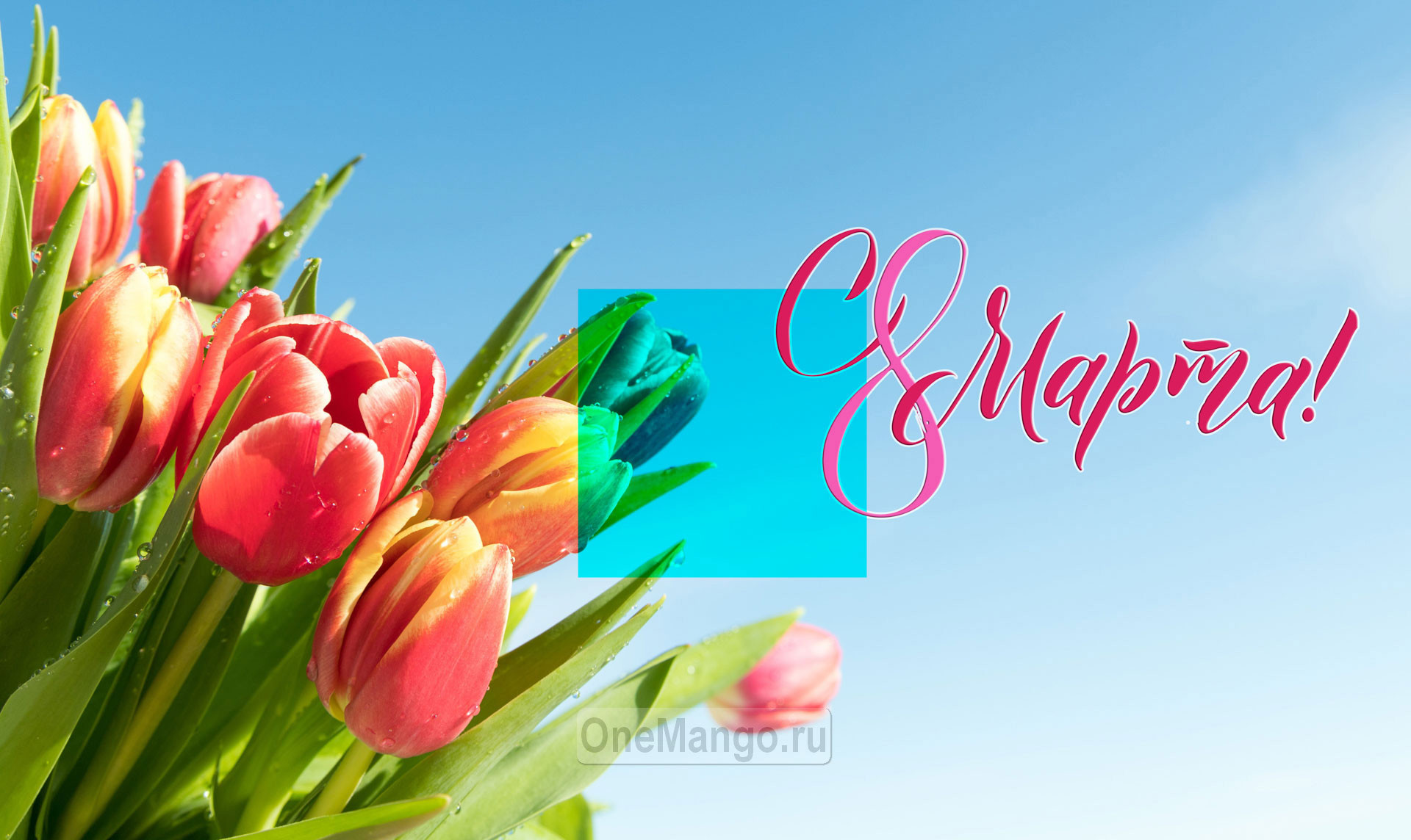 Занавес 8 марта 229