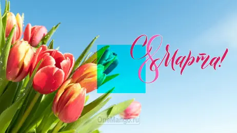 Занавес 8 марта 229