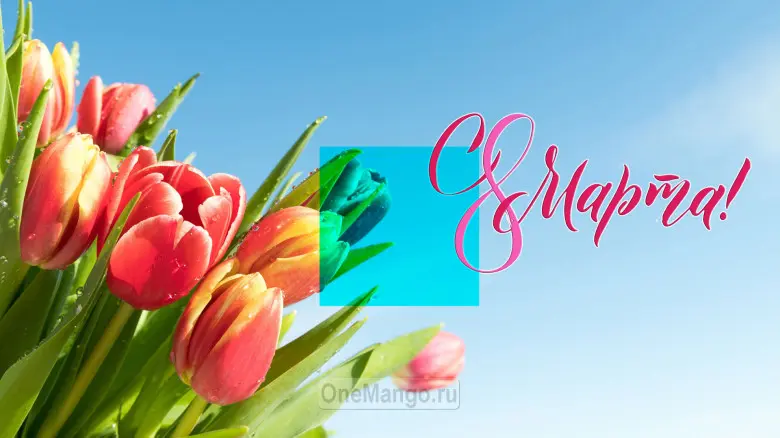 Занавес 8 марта 229