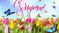 Занавес 8 марта 232