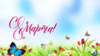 Занавес 8 марта 233