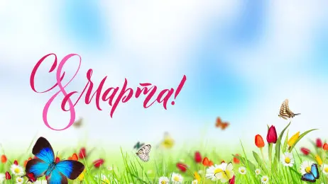 Занавес 8 марта 233
