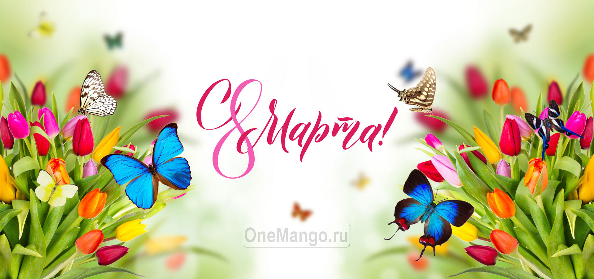 Занавес 8 марта 234