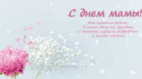 Занавес на день мамы 033