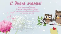 Занавес на день мамы 037