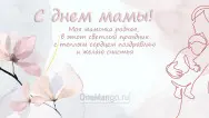 Занавес на день мамы 047