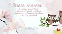 Занавес на день мамы 049