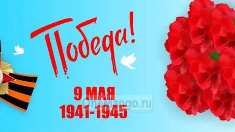 Занавес день победы 002